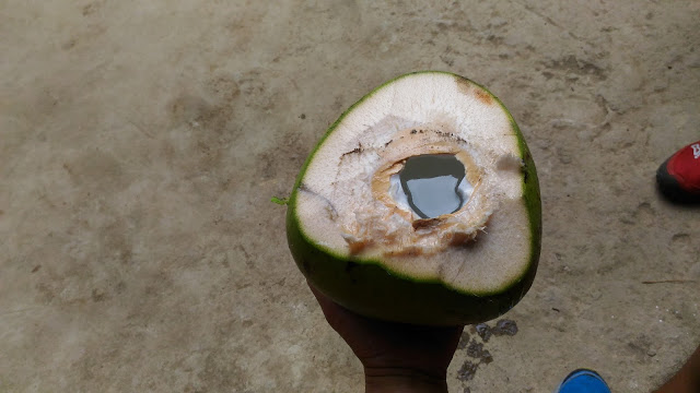 fresh coconut juice