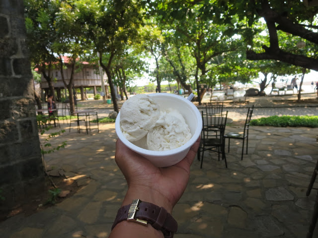 taste of taro ice cream