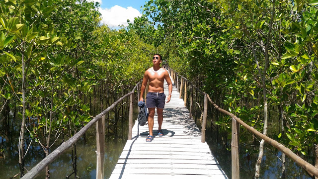 mangrove forest kalibo
