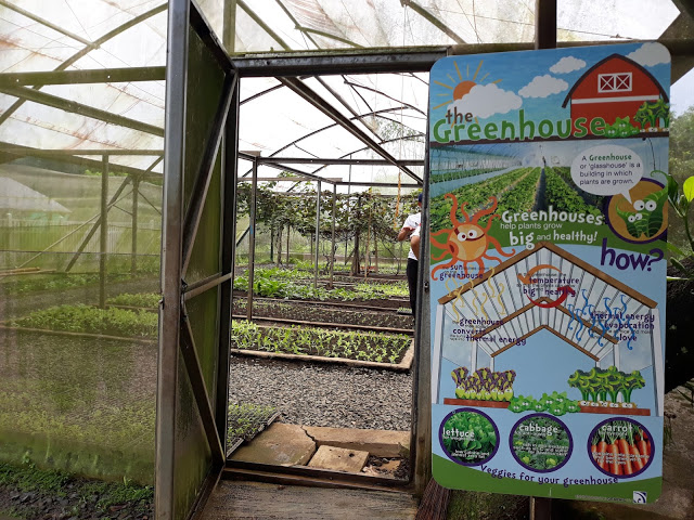 greenhouse farm