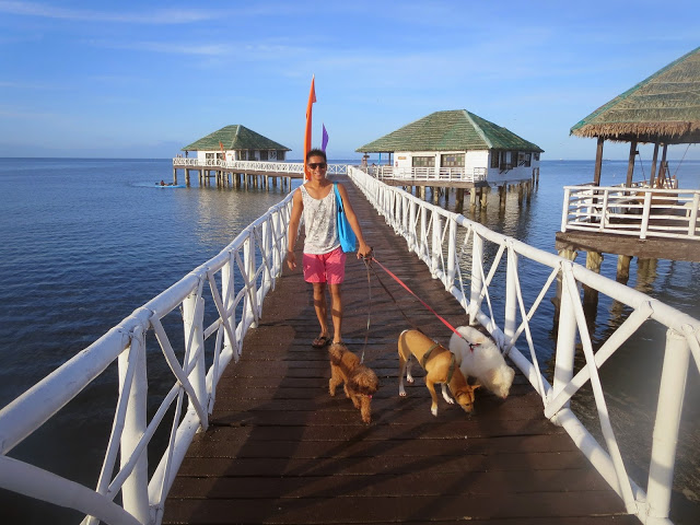 walking with our dogs at stilts calatagan