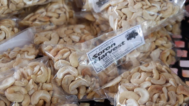 cashew nuts coron palawan