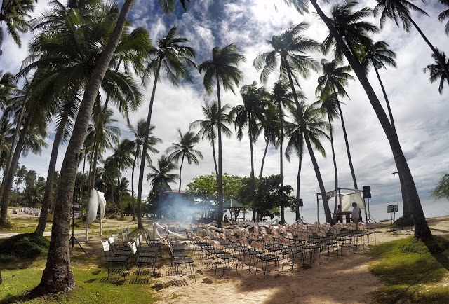 palm trees laiya coco beach