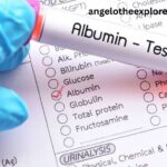 Albumīns: Functions, Benefits, and Health Significance